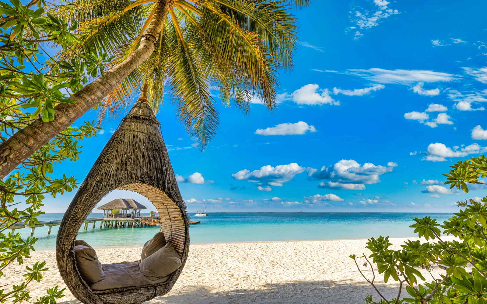A hanging rattan chair under a palm on an empty white sand beach