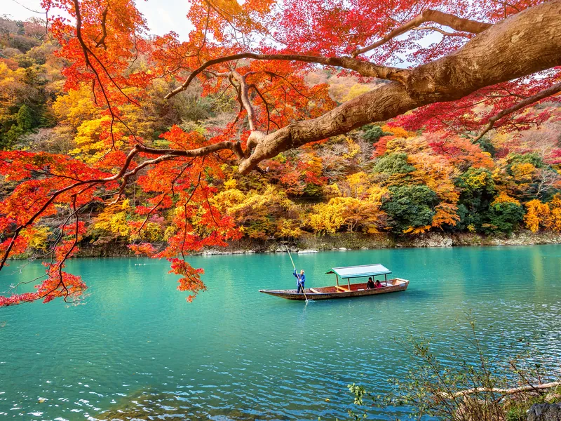 A wooden boat on a green river beneath overhanging maples