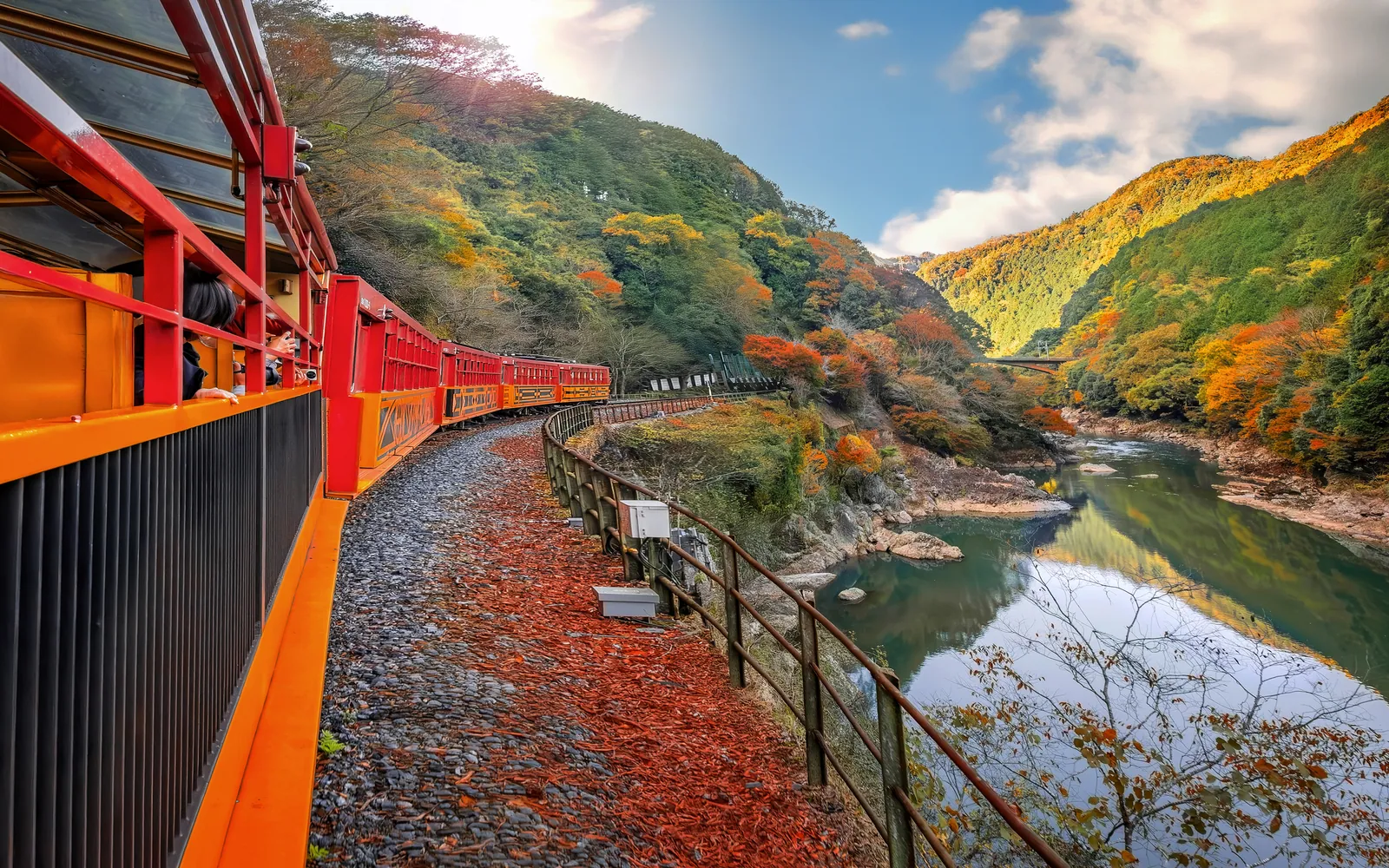 A sightseeing train running along a river gorge lined with autumn trees