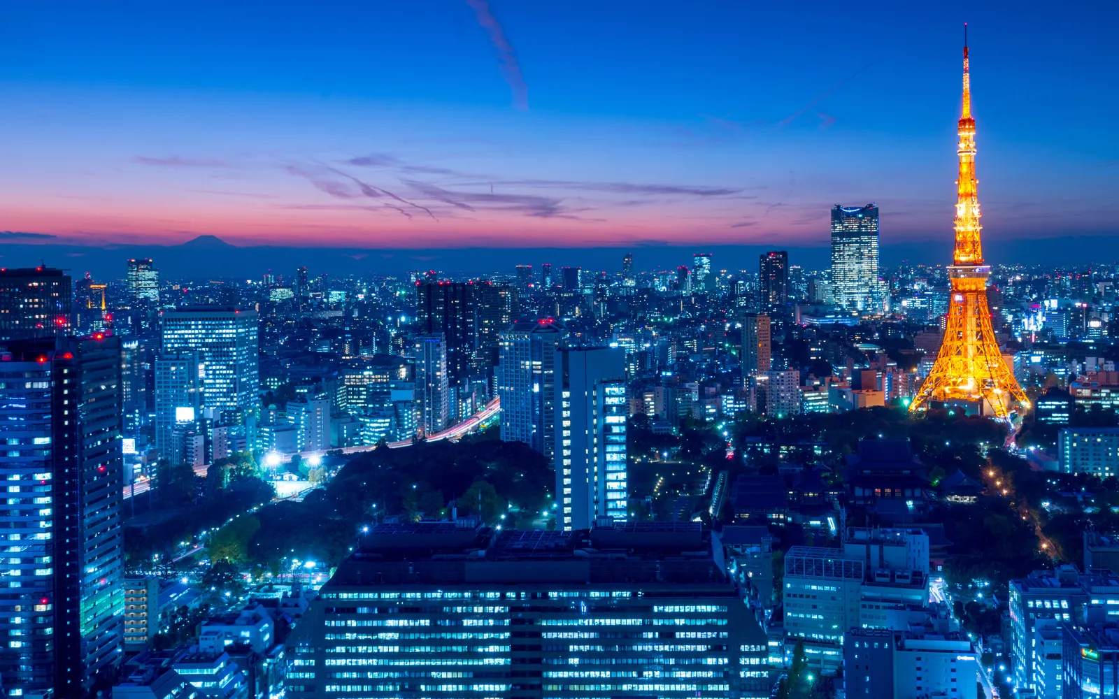 Tokyo at dusk with Tokyo Tower lit against the skyline