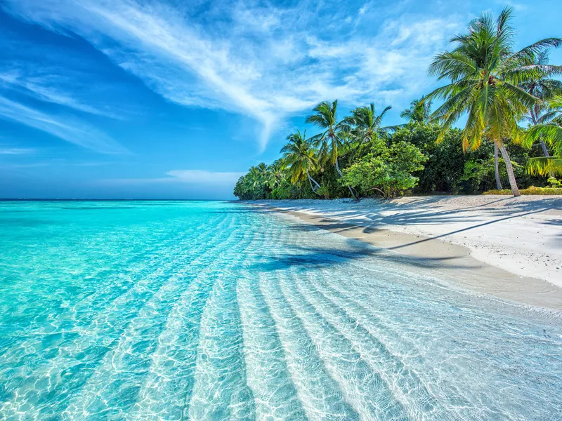A white beach curving away under palms beside clear water