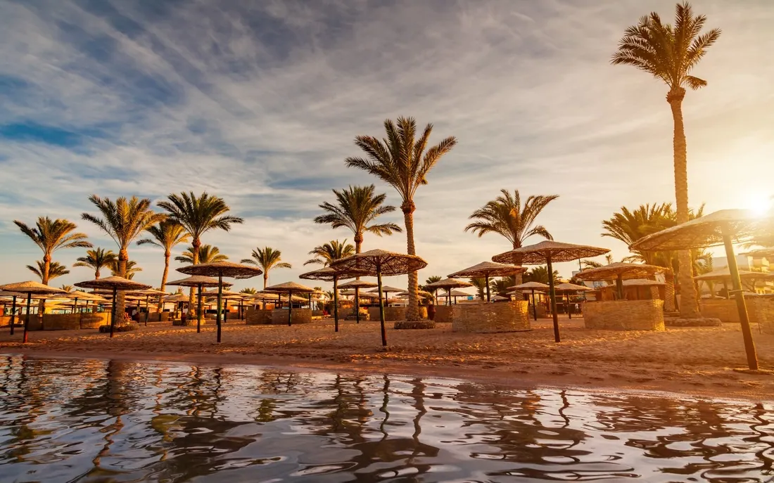 Palms and parasols on a beach at sunset with calm water in front