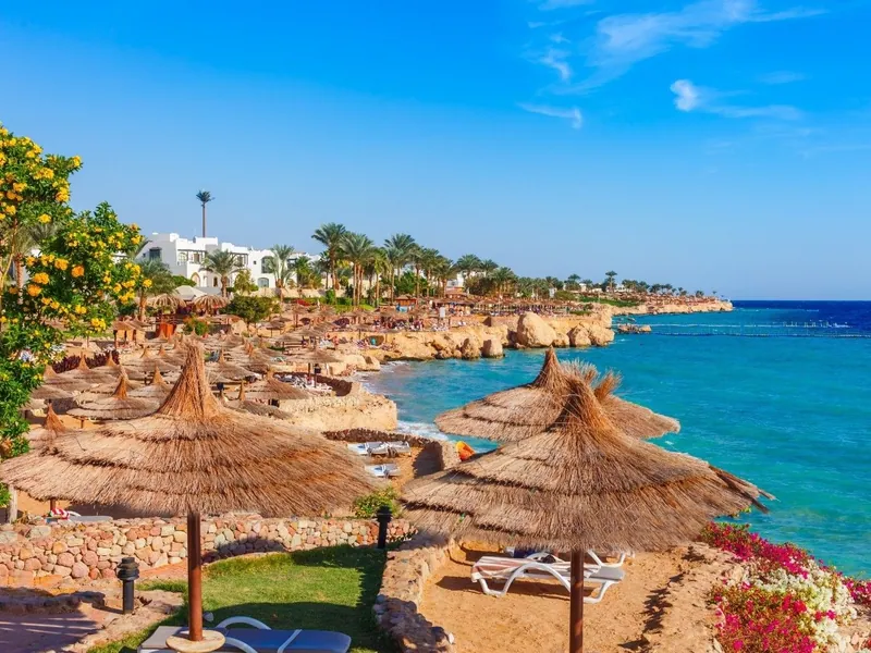Thatched parasols and loungers along a resort beachfront