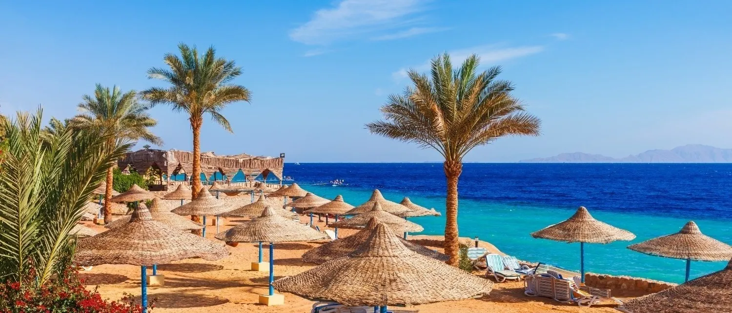 Thatched parasols and palms on a Sharm el Sheikh beach beside the Red Sea