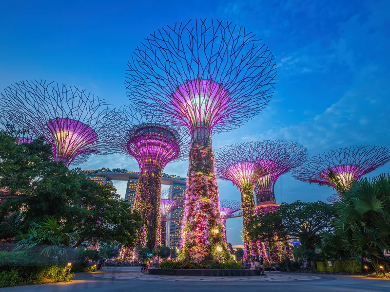 The Supertree Grove against a deep blue evening sky