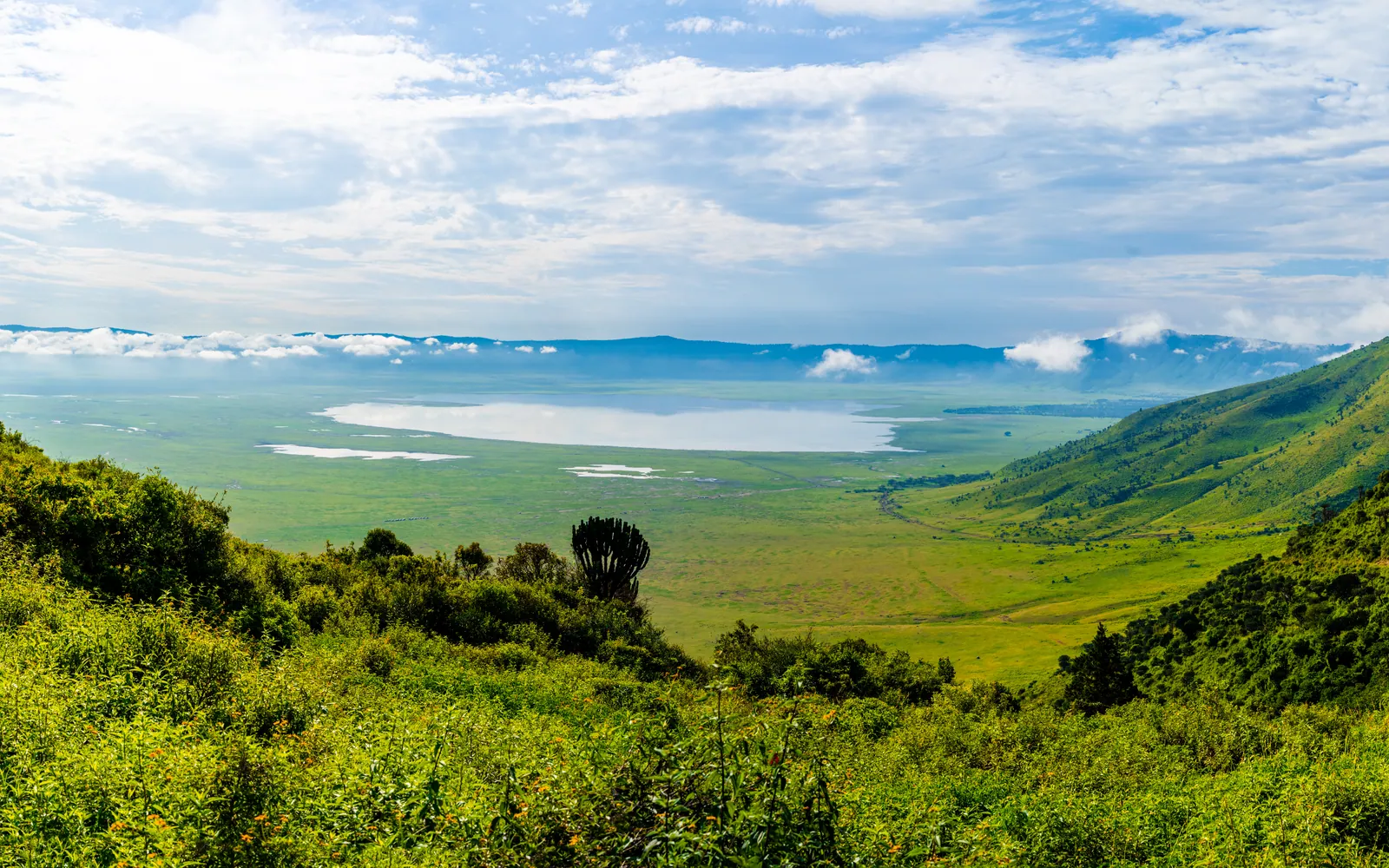The Ngorongoro Crater floor seen from the forested rim, a lake in the distance